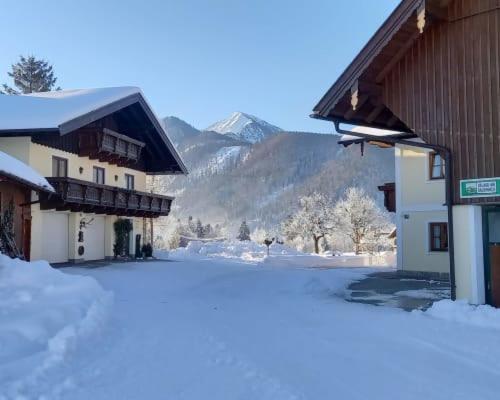 Appartement Unterwoehrlehen à Faistenau Extérieur photo
